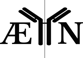 ÆYN